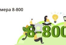Где купить номера 8 800: что это, для чего необходимы, кто ими пользуется, особенности и преимущества Где купить номера 8 800: что это, для чего необходимы, кто ими пользуется, особенности и преимущества