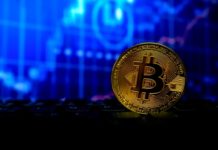 Биткойн стал предшественником криптовалют. Преимущества криптовалюты Биткойн стал предшественником криптовалют. Преимущества криптовалюты