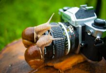 Макросъемка это ?!…