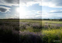 Азбука фотографии — для чего нужен брекетинг? Азбука фотографии — для чего нужен брекетинг?