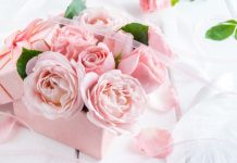 Как правильно выбрать монобукет в подарок? Как правильно выбрать монобукет в подарок?