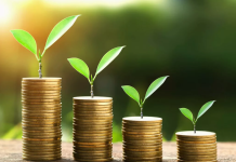 Что следует знать про вклады физических лиц и их особенности Что следует знать про вклады физических лиц и их особенности