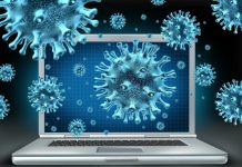 Компьютерные вирусы для исследования: какой ущерб наносят вредоносные программы