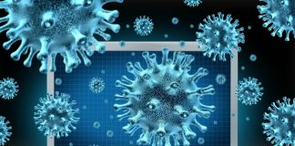 Компьютерные вирусы для исследования: какой ущерб наносят вредоносные программы