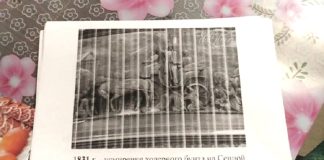 Принтер печатает полосками