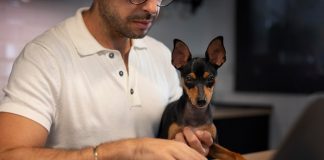 Как настроить Watchdog в Windows для повышения стабильности системы