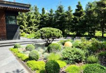 Озеленение офисов МЦК-С: гармония природы и эффективности