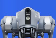 Робо-собаки: аренда как шанс познакомиться с технологией будущего