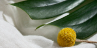 Как ухаживать за женским золотым колье, чтобы сохранить первозданный блеск